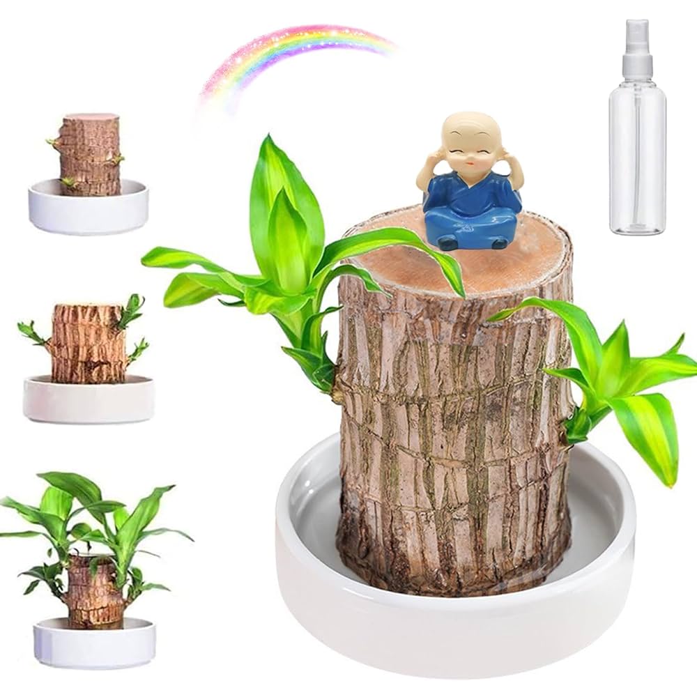 Brazilian Lucky Wood